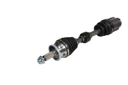 کله پلوس راست